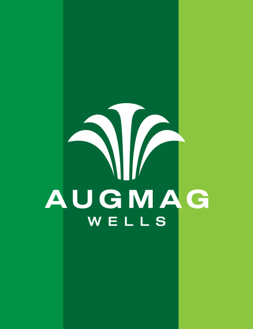 AUGMAG WELLS